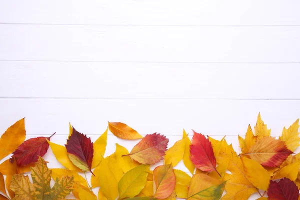 红色和橙色秋天叶子在白色木背景 — 图库照片