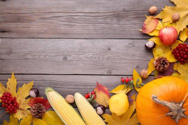 Turuncu kabak yapraklar ve gri arka plan üzerinde sebze ile. Şükran günü