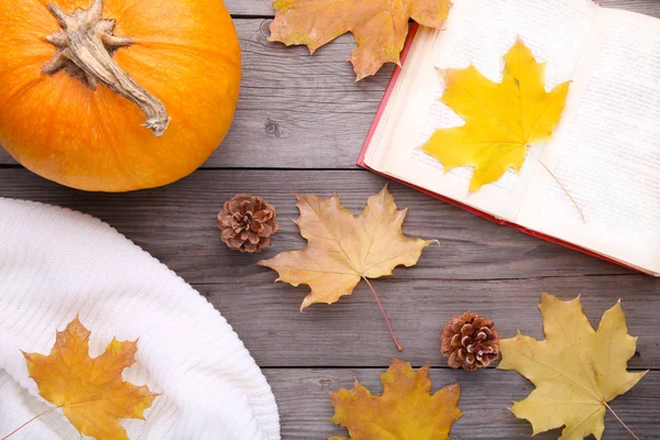 秋天构成与旧书 毛衣和叶子在灰色木背景 — 图库照片