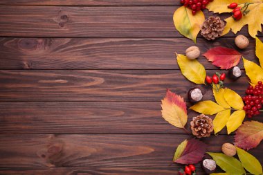 Kahverengi bir arka plan üzerinde meyveleri ile yaprak. Şükran günü