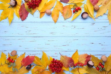 Mavi bir tablo üzerinde meyveleri ile yaprak. Şükran günü