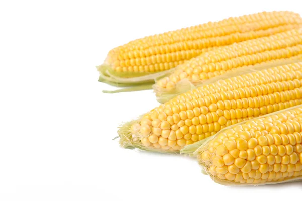 Friss Kukorica Csövek Elszigetelt Fehér Background — Stock Fotó