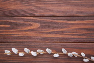 Kahverengi ahşap arka planda Willow Catkins fotokopi alanı ve paskalya