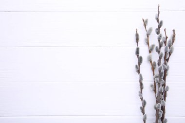 Beyaz ahşap bir zemin üzerinde söğüt çiçekleri fotokopi alanı ve paskalya