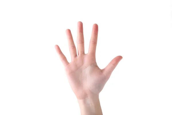 Gesto de mano femenina aislado sobre un fondo blanco —  Fotos de Stock