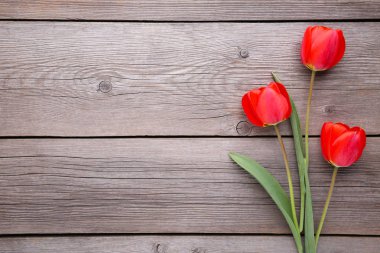 Gri bir ahşap zemin üzerine kırmızı lale.