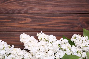 Kahverengi arkaplanda örnek metin içeren beyaz leylak çiçekleri dalı