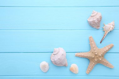 Mavi ahşap arka plan üzerinde deniz yıldızı ve deniz kabukları. Yaz konsepti