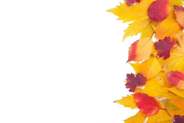 Červený a oranžový podzimní listí izolované na bílém — Stock fotografie