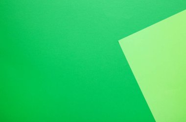 Renk kağıtları düz kompozisyon arkaplanı açık ve koyu yeşil kopya alanı ile