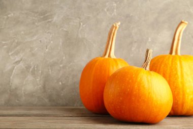 Gri arka planda taze turuncu balkabağı. Üst görünüm