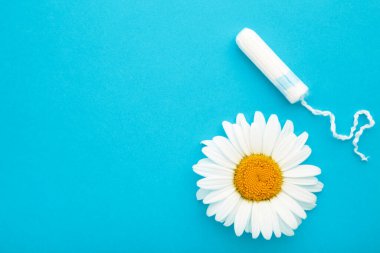 Tıbbî papatya çiçeği ve regl tamponu. Mavi üzerine tıbbi kavramsal fotoğraf.