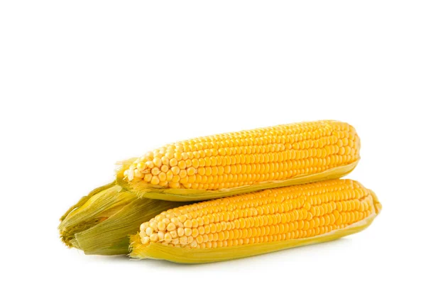 Egy Fül Kukorica Elszigetelt Fehér Háttérrel Felülnézet — Stock Fotó