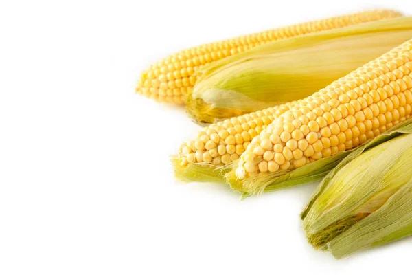 Egy Fül Kukorica Elszigetelt Fehér Háttérrel Felülnézet — Stock Fotó