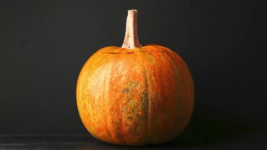 Siyah arka planda Cadılar Bayramı balkabağı döner ve oyulmuş korkunç yüze dönüşür. 4k stop hareket animasyonu.