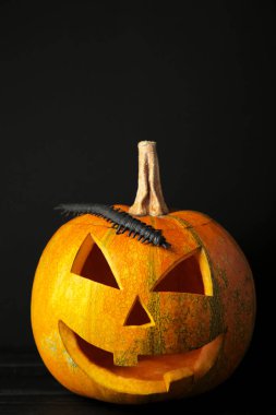 Cadılar Bayramı balkabağı kafalı Jack Lantern siyah arka planda. Üst görünüm