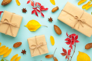 Renkli yaprakların sonbahar kompozisyonu ve mavi arka planda hediyeler. Üst görünüm.