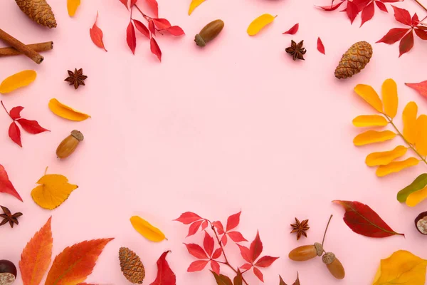 Thanksgiving or autumnal holiday background, top view, copy space. Autumnal holiday composition with leaves, star anise, cone.