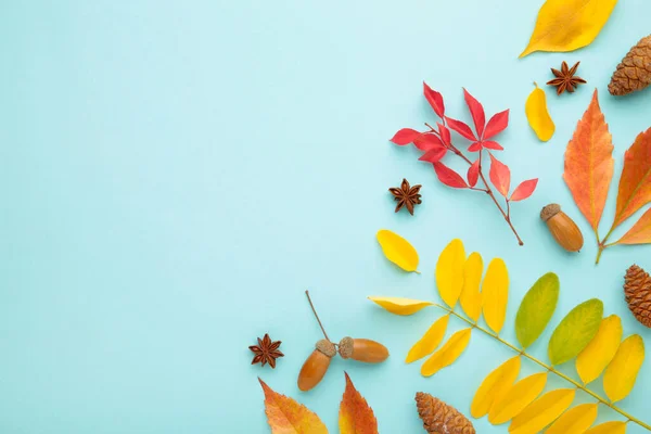 Thanksgiving or autumnal holiday background, top view, copy space. Autumnal holiday composition with leaves, star anise, cone.