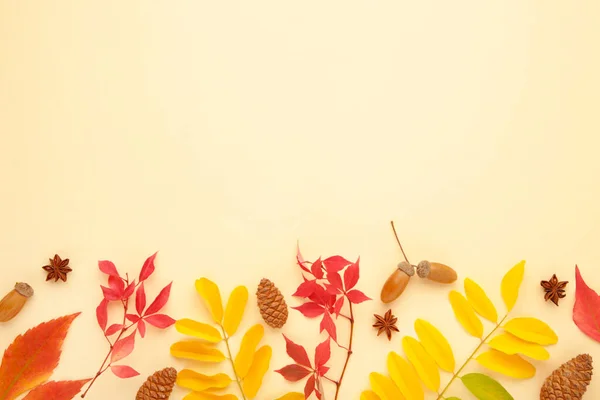 感恩节或秋季假期背景 顶部视图 复制空间 有树叶 星形茴香 锥果的周日假日作曲 — 图库照片