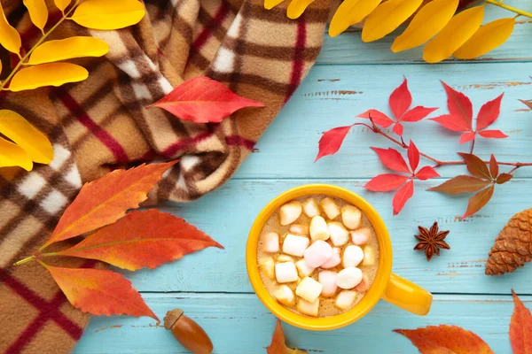 热巧克力和秋天的叶子上有饱满的季节放松的概念 顶部视图 — 图库照片