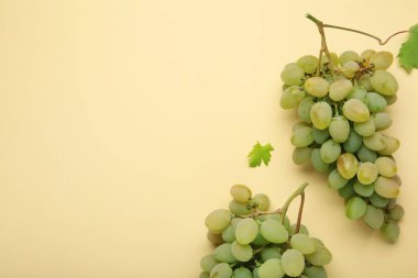 Bej arka planda taze yeşil üzüm. Üst görünüm