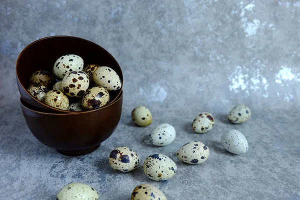 Grupo Huevos Codorniz Taza Sobre Fondo Cemento — Foto de Stock