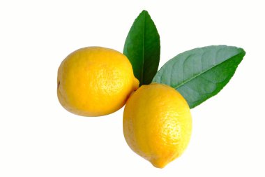 beyaz arkaplanda limon