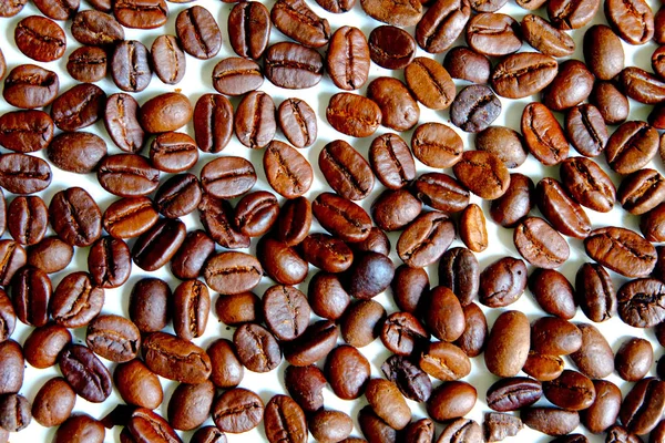 Kaffebönor sömlös bakgrund — Stockfoto