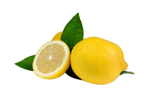 柠檬和离开设置在白色背景 — 图库照片