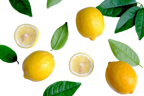 Zralé Citrony Citrónové Lístky Bílém Pozadí — Stock fotografie