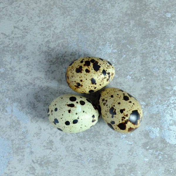 Ovo de codorna no fundo de cimento, ovo de codorna no fundo de concreto — Fotografia de Stock