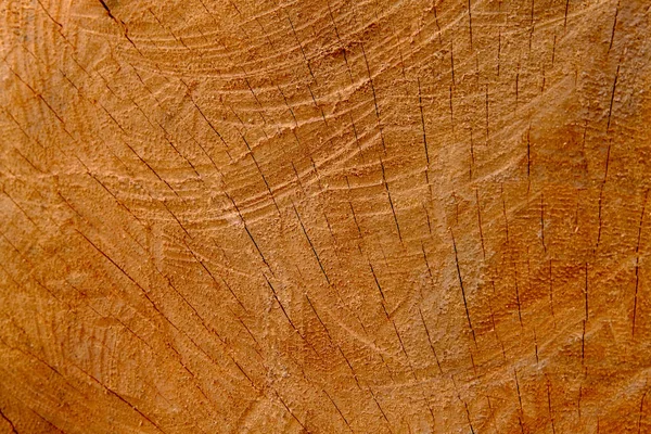 Ahşap doku arkaplanı, Retro duvar kağıdı arkaplanı, günlük kapatma