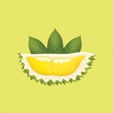 Yeşil arka plan üzerinde Durian ve yaprak