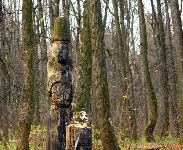 Totem Palo Albero — Foto Stock