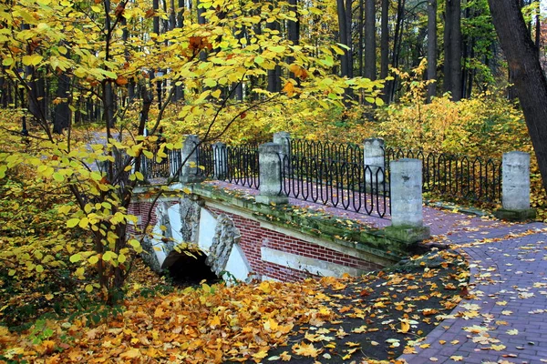 Oude Brug Het Park — Stockfoto