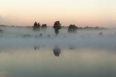Ağaçlar sabah sis nehir üzerinde durmak. Sis nehir ana hatları gizler. Nehir banka ve su kapsar.