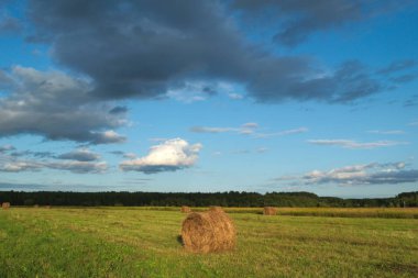 Haystacks alanında. Sadece hasat saman. Çim parçası henüz hasat değil. 