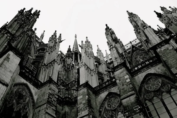 Monumentale Gotische Bouwstijl Van Dom Van Keulen Duitsland Opstaat Pronken — Stockfoto