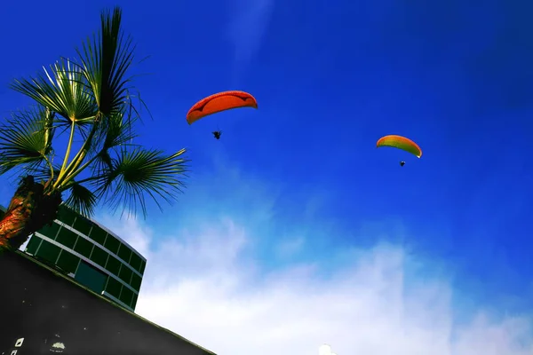 两个滑翔在秘鲁利马的蓝天上飞行 在一大团云层和一座建筑之间 在阳光明媚的夏日 一侧有一棵棕榈树 低角度90暴跌观点 — 图库照片