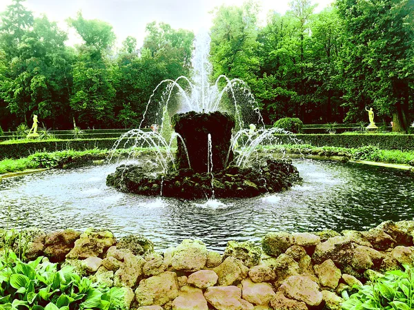 A stone water fountain in the middle of the garden of the Summer Palace of Peterhof, Saint Petersburg, Russia, is beautifully surrounded by its own water, stones, rocks, plants and leafy green trees on a sunny summer day.