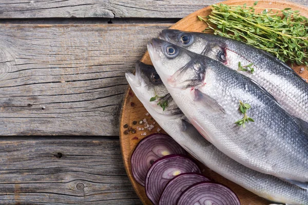 Çiğ levrek balık. Pişirme taze levrek