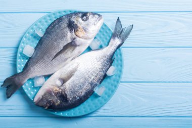 Çiğ dorado balık plaka buz ile. Deniz ürünleri