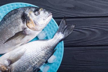 Çiğ dorado balık plaka buz ile. Deniz ürünleri