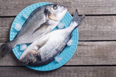 Çiğ dorado balık plaka buz ile. Deniz ürünleri