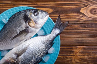 Çiğ dorado balık plaka buz ile. Deniz ürünleri