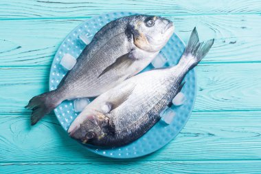 Çiğ dorado balık plaka buz ile. Deniz ürünleri
