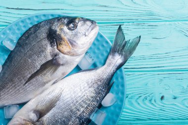 Çiğ dorado balık plaka buz ile. Deniz ürünleri