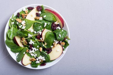 Elma, peynir, ceviz ve kurutulmuş kızılcık sonbahar ıspanak salatası. Sağlıklı vejetaryen yemek