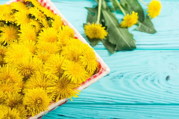 Cesto con fiore di tarassaco giallo — Foto Stock